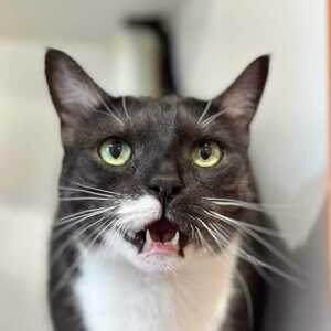 Fundraising Page: Rhonda Murray